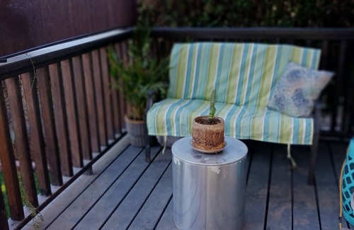 Northwest San Pedro House | Coastal Cottage Near All