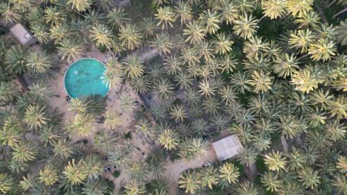 Tozeur Other | Coco Oasis Resort Camping Maison d hotes