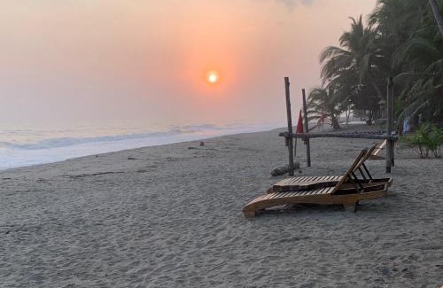 Palomino Hotel | Cocobeach Palomino