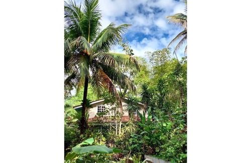 Big Creek Apartment | CoconutTree Beachfront Bungalow