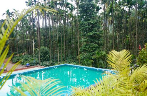 Samse Hotel | Coffee Gudda