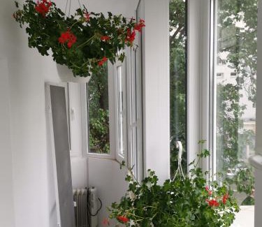 Vitan Apartment | Coffee Residence