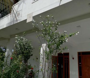 Seeduwa - Katunayake House | Colombo Airport Field View Villa