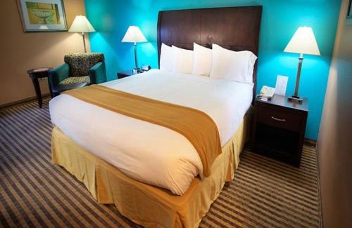 Ocala Hotel | Comfort Inn Ocala Silver Springs