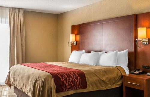 Savannah Hotel | Comfort Inn Savannah Midtown