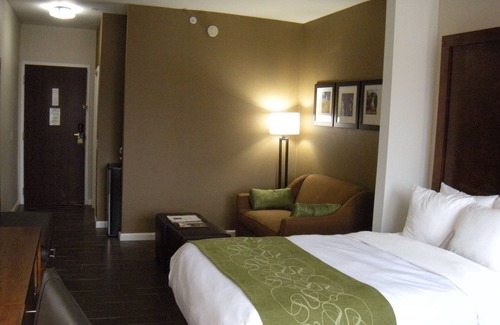 Dover Hotel | Comfort Suites Dover University Area