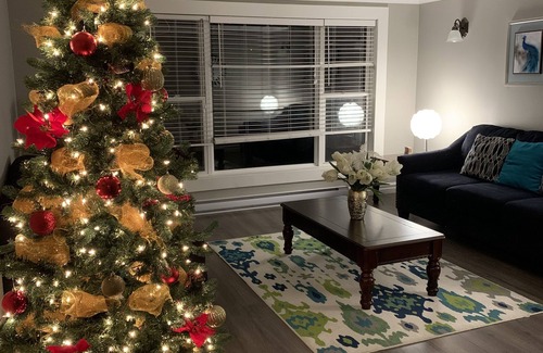 Downtown St. John's Apartment | Comfort With A Touch Of Class #1