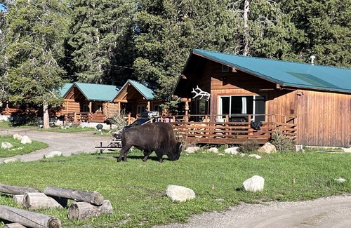 Cooke City-Silver Gate Cabin | Comfortable Cabin next to Yellowstone National Park