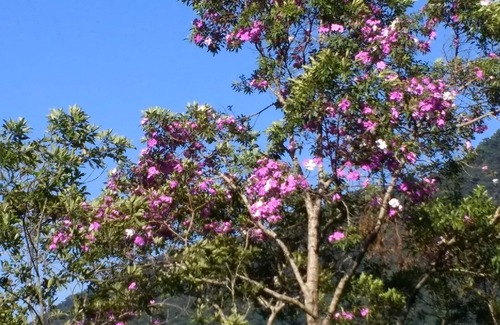 Balneario Mogiano House | COMFORTABLE HOUSE ON THE BEACH WITH POOL, INTERNET, WI-FI AIR-COND. BBQ