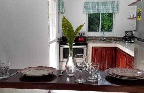 Belmont Apartment | Contemporary Ocean and Garden- view Studio