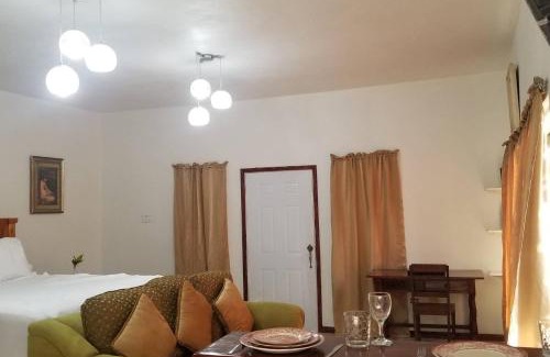 Belmont Apartment | Contemporary Ocean and Garden- view Studio