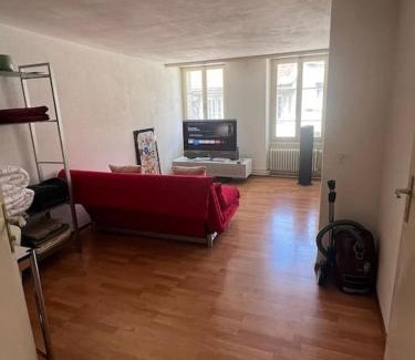 Fribourg Apartment | Cooles Apart an der Kathedrale