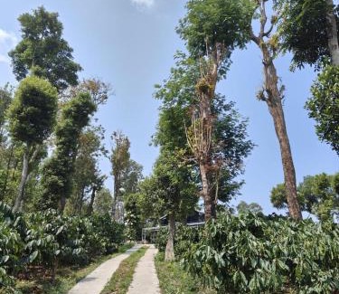 Somvarpet House | Coorg Countryside 1BR