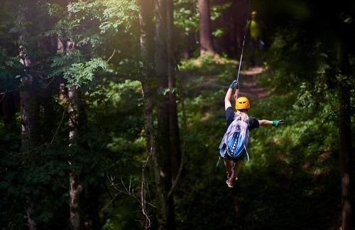 Haliyal House | Coorg Tusker