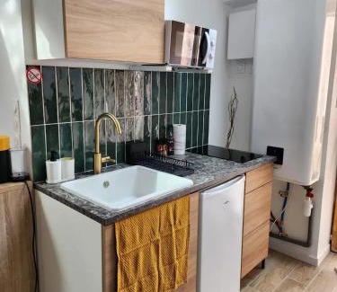 Ballan-Mire Apartment | Coquet Studio avec Jardin à Ballan-Miré