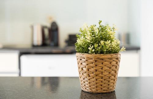 Vila do Conde Apartment | Coreto Garden