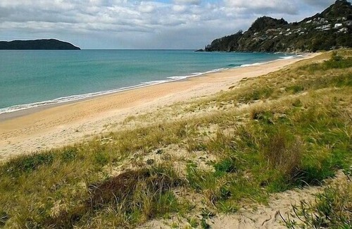 Tairua Cottage | COSY AND CHIC ON OCEAN BEACH - TAIRUA HOLIDAY HOME in Tairua