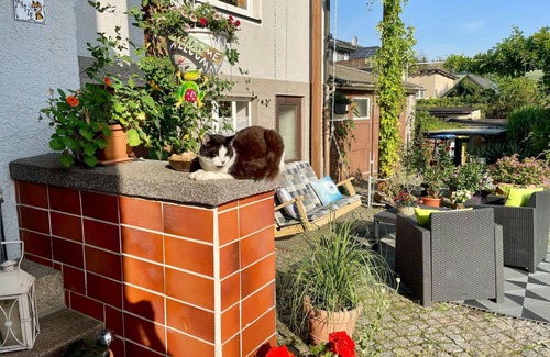 Chemnitz Apartment | Cosy apartment for 4 people with WIFI and TV
