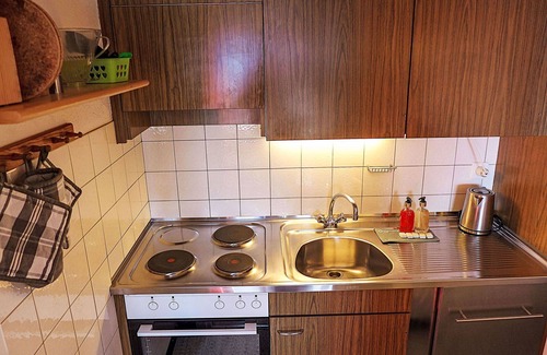 Randogne Apartment | Cosy apartment for 4 people with WIFI, TV, balcony and pets allowed