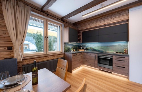 Dolni Morava Apartment | Cosy apartment for 6 people with WIFI, TV and terrace