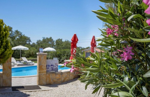Labinci Apartment | Cosy apartment for 6 people with pool, WIFI, A/C, TV and terrace