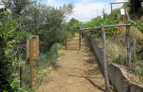 Paciano Villa | Cosy apartment in villa for 6 people with pool, WIFI, TV, terrace and pets allowed