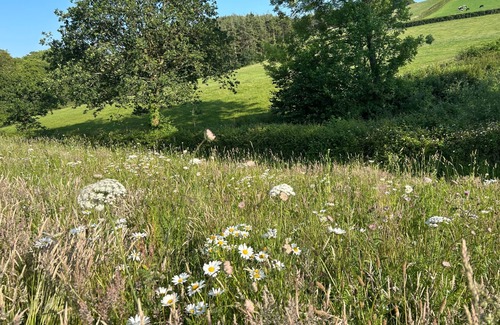 Chittlehampton Cabin | Cosy Devon Hut With Private Hot Tub