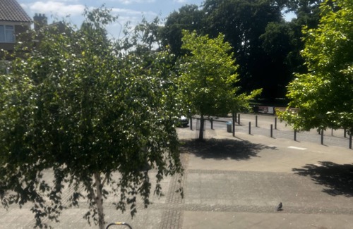 College Apartment | Cosy Dulwich next to Arts Centre Crystal Palace