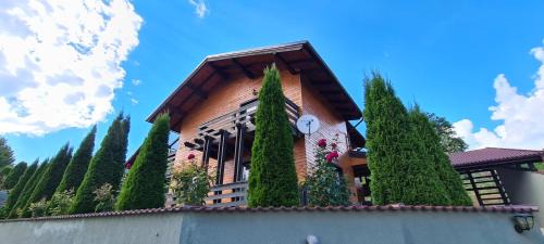 Rasnov Ski Chalet | Cosy Forest Chalet
