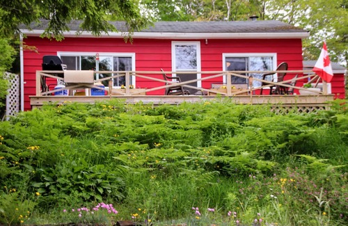 Gaetz Brook Cottage | Cottage Cheese Too: Quaint lakefront cottage 30 minutes from town on quiet cove.