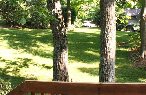 Royal Pines House | Cottage in the Shade, Private and Convenient