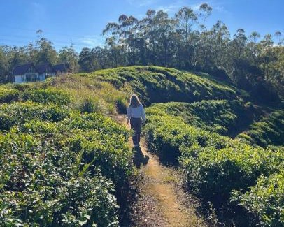 Nuwara Eliya Hotel | Cottage Mountain Misty-Nuwaraeliya