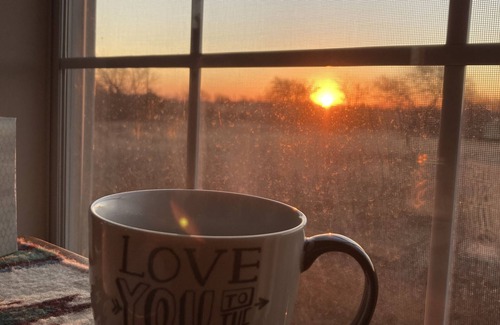 McLennan County Cabin | Country Escape - Live to be Wild