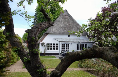 Kosel House | Country house to the old chestnut in Bohnert