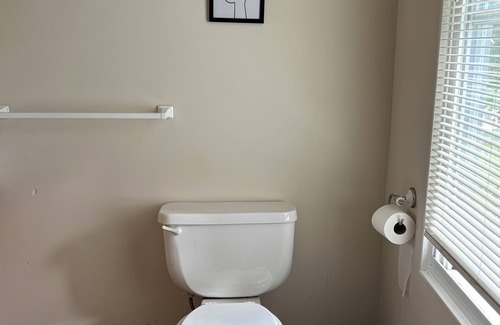 Dansville Apartment | Cozy 1-bed apt in Dansville. Walking Distance to Noyes Memorial Hospital