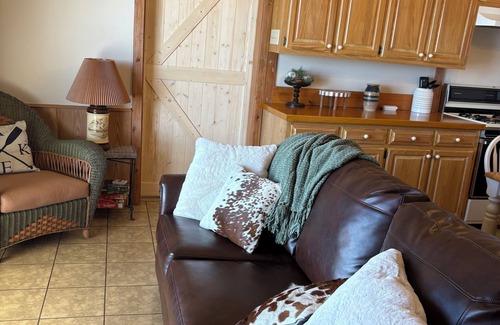 Sondheimer House | Cozy 1 bedroom, 2 queen beds with sofa couch lakefront nEagle Lake Getaway