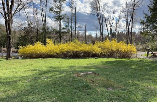 Monticello House | Cozy 3BR 2BA Cottage - Your Perfect Catskills Family Getaway!