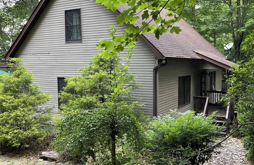Pisgah Forest Cottage | Cozy and fun mountain-view cottage 10 mins from shopping and hiking