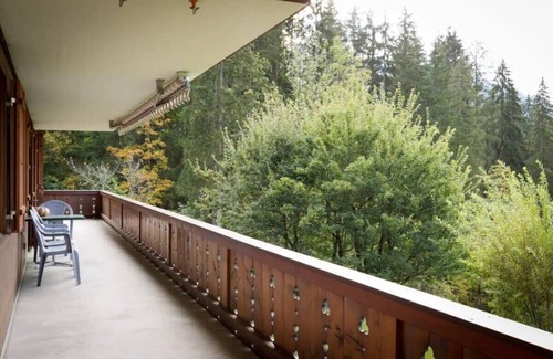 Schoenried Apartment | Cozy Apt Overlooking the Gstaad Mountain Area