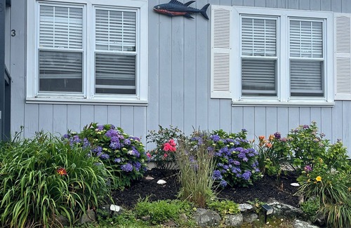 Gloucester House | Cozy Beach cottage walkable to Good Harbor and Long Beach