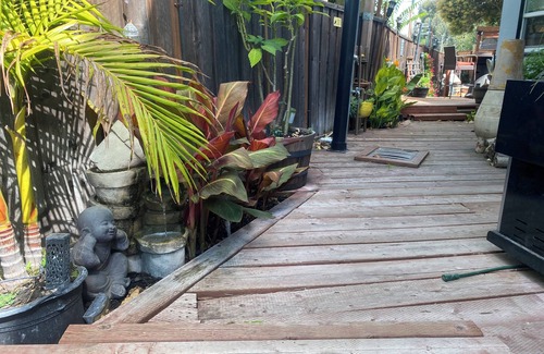 Willow Glen House | Cozy Bungalow in Willow Glen