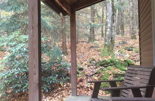 Mifflinburg Cabin | Cozy cabin, great for family and friends!