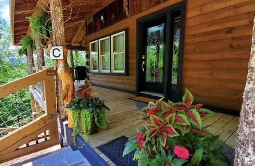 Hot Springs Cabin | Cozy cabin in Hot Springs, minutes away from town!