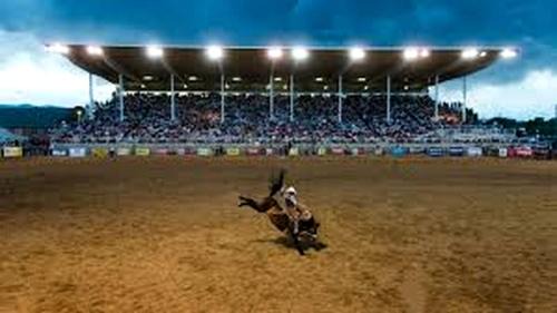 Dayton House | Cozy Cabin Perfect for a Romantic Escape with BBQ in Dayton, Wyoming