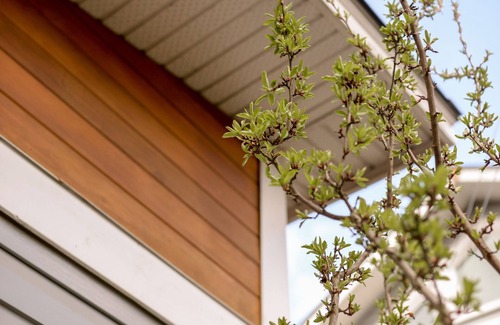 Saanich East House | Cozy Carriage House