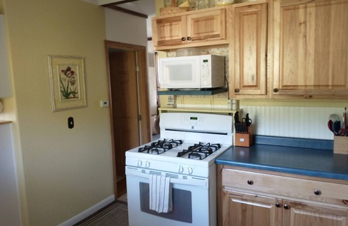Nederland Cabin | Cozy & Comfortable 1BD Cabin In Nederland ~ Walk to Downtown, Trails & RTD Bus