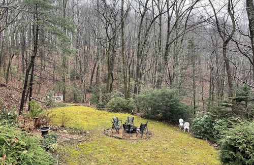 Saluda House | Cozy Cottage nestled in the forest. 2 Minutes to downtown Saluda.