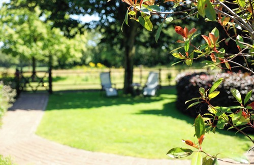 Wilbertoord House | Cozy cottage, view of horse pasture, large garden, pet friendly.