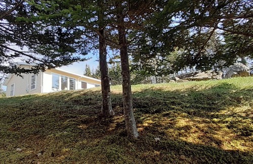 Terra Nova Cottage | Cozy cottage with hot tub, 1-acre, lakefront, less than 1 hour from St. John's.