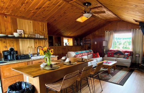Florissant Cabin | Cozy Hot Tub Cabin On The Lake!